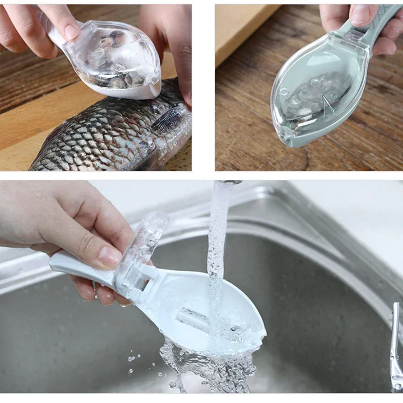 موازين السمك، أداة تنظيف الأسم - مراجعة Fishing Equipment Kitchener وسعره