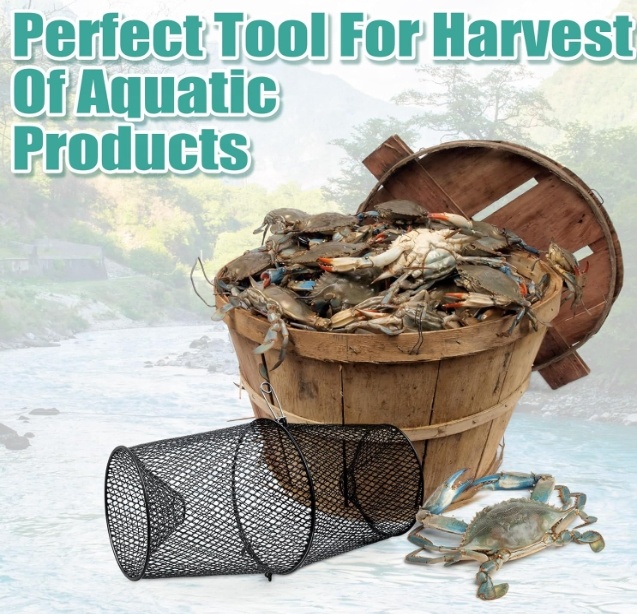 فخ جراد البحر المعدني، مصيدة ج - مراجعة Fishing Equipment Market وسعره