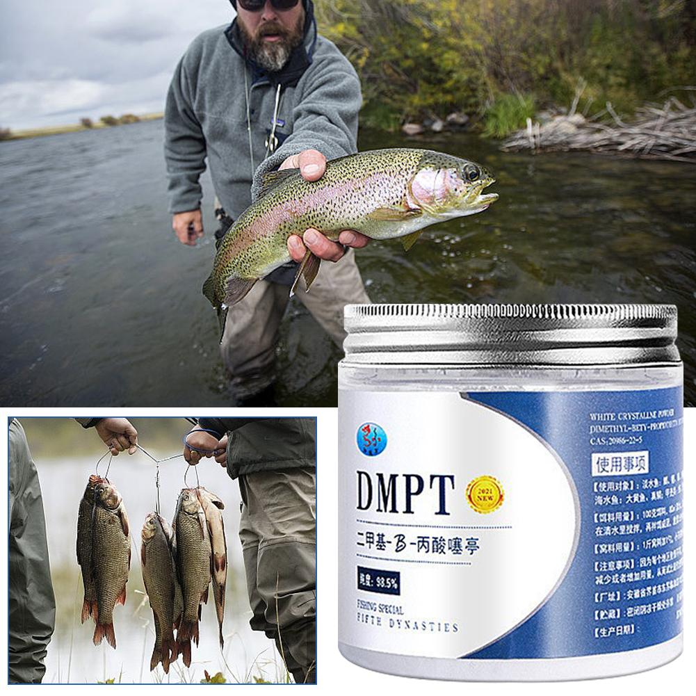 DMPT طعم صيد عالي النقاء مضاف  - مراجعة Fishing Equipment Market وسعره